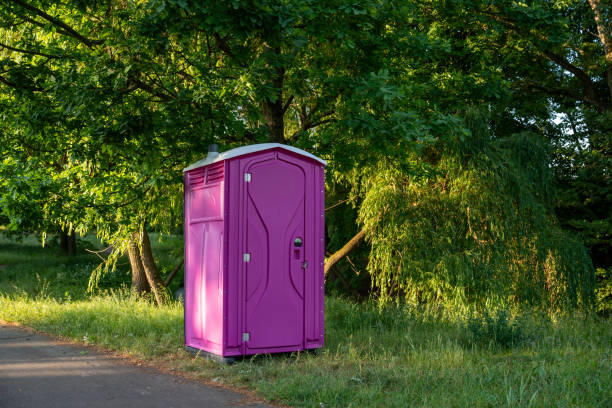 Best Local porta potty services  in Mount Vernon, VA
